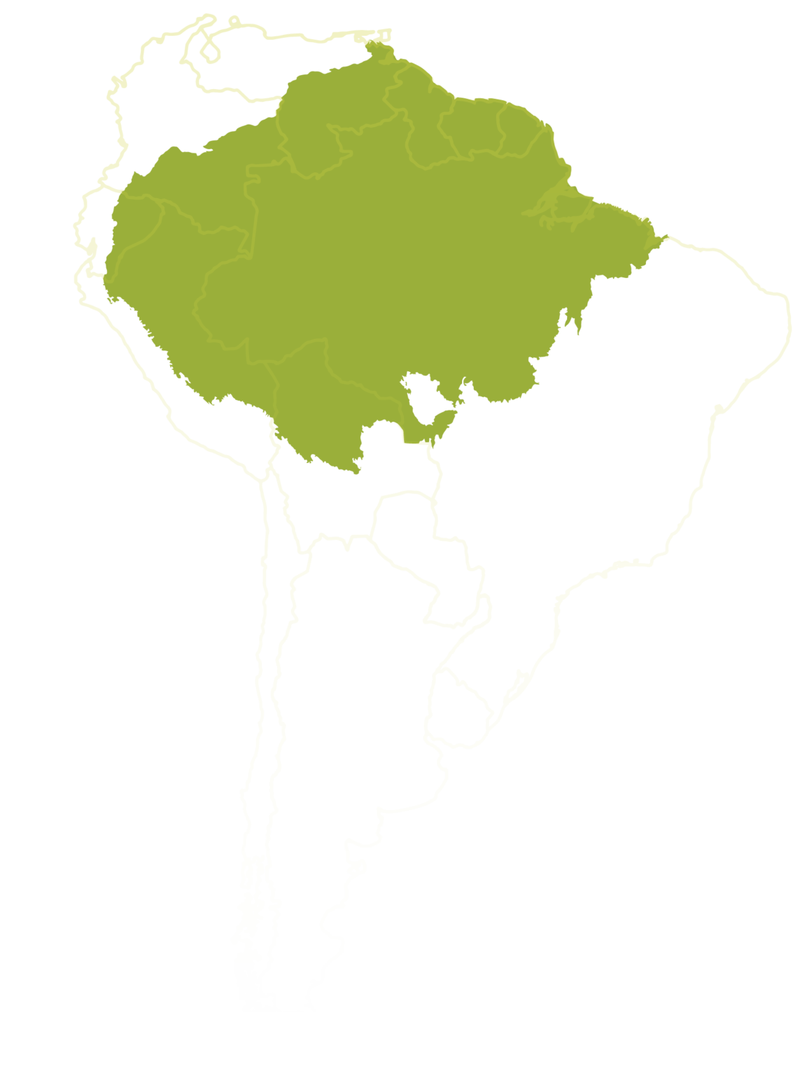 Amzbioecon – Shaping the future of the Amazon bioeconomy, together